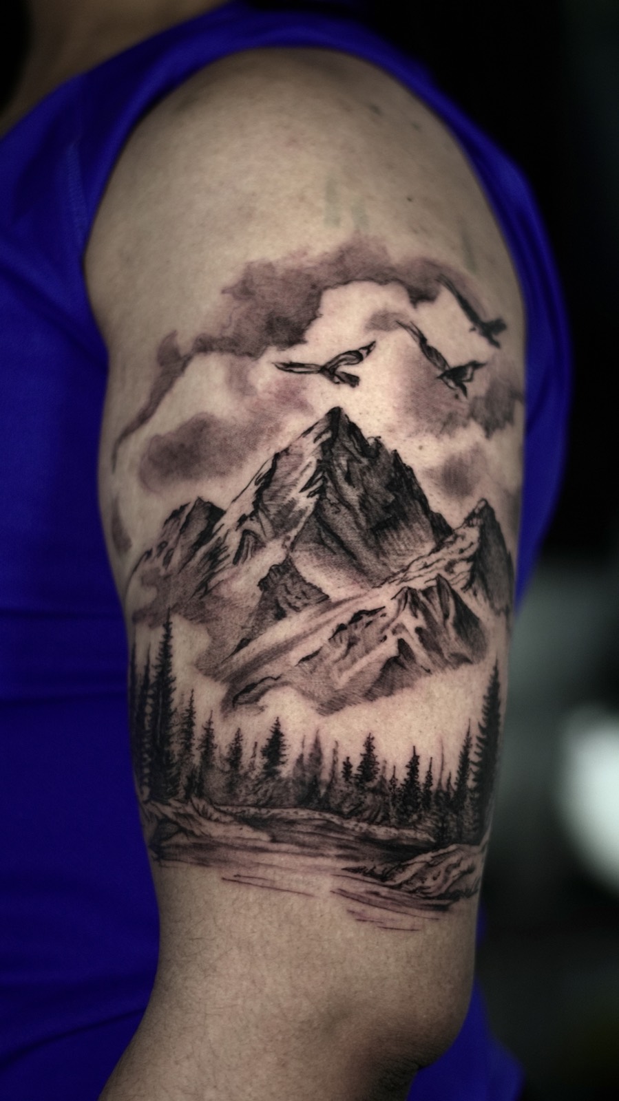 Paysage de montagnes, forêt et oiseaux en noir et gris